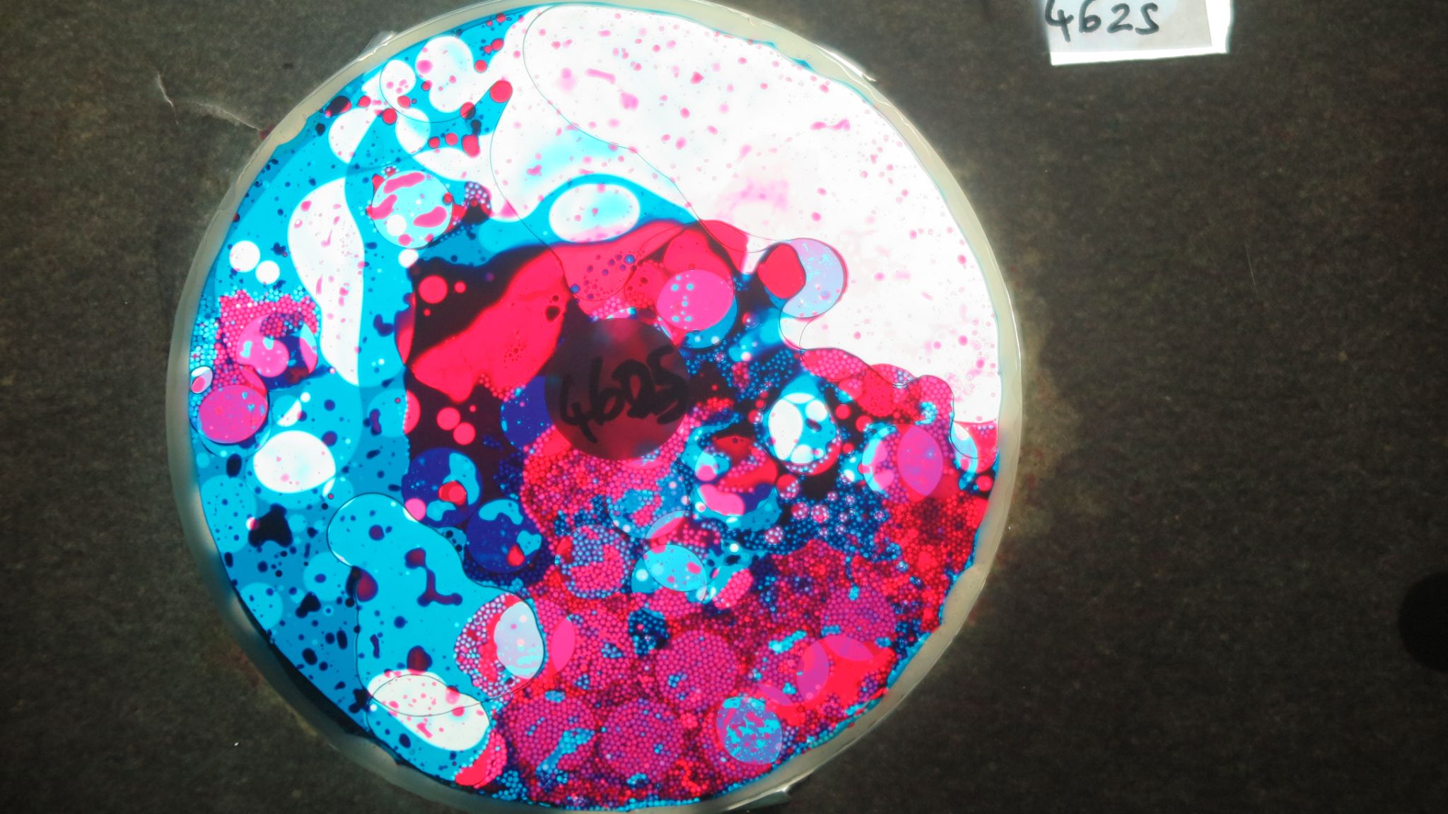 BV4625 bubble vision oil wheel